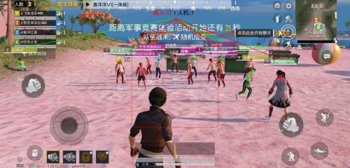 和平精英端游蔷薇辅助怎么用（和平精英端游怎么打药）